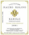 Mauro Molino - Barolo Vigna Gallinotto 2020 (750ml)